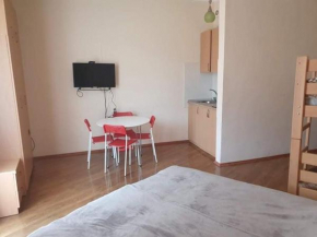 1 Studio Room apartment in Bakuriani